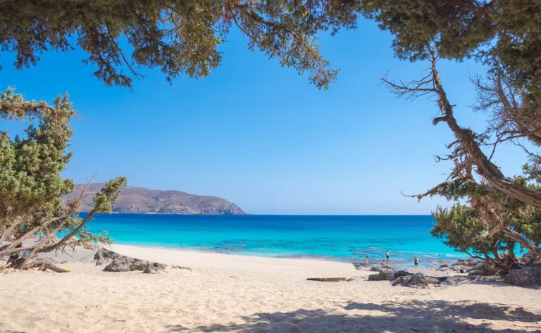 ELAFONISI & KEDRODASSOS
